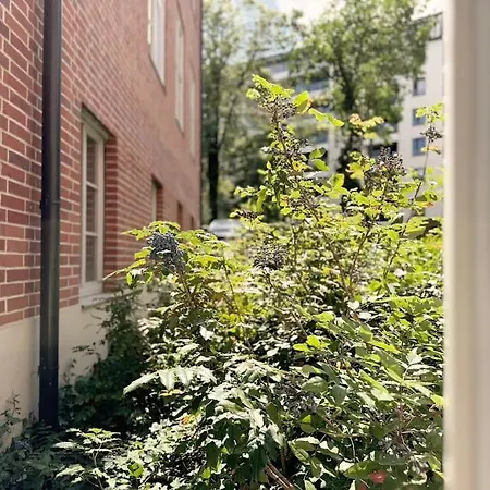 Daire Natural In The Center - Old Town *